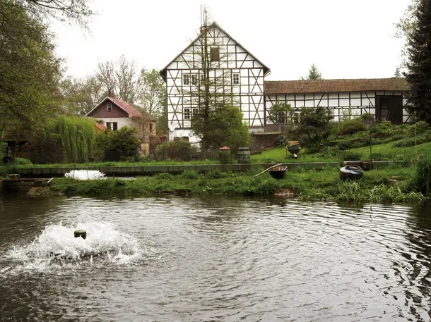 Forellenhof Obermühle Müller